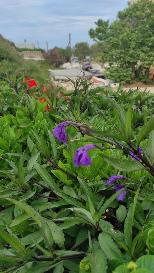 Villa Delfinaki Lionas Ngoại thất bức ảnh